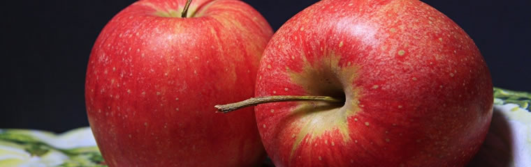 新鮮な「りんご」