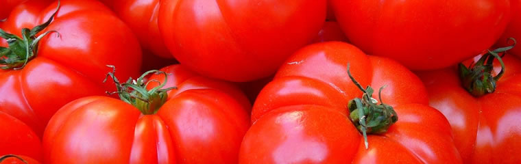 新鮮トマト